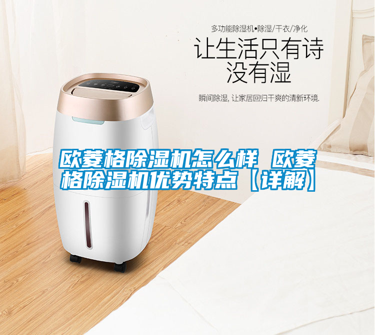 歐菱格除濕機怎么樣 歐菱格除濕機優勢特點【詳解】