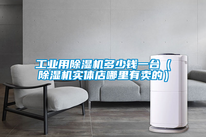 工業用除濕機多少錢一臺（除濕機實體店哪里有賣的）