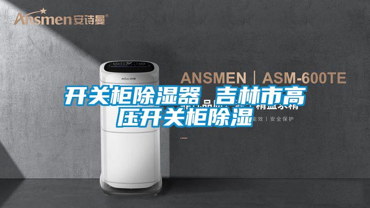 開關柜除濕器 吉林市高壓開關柜除濕