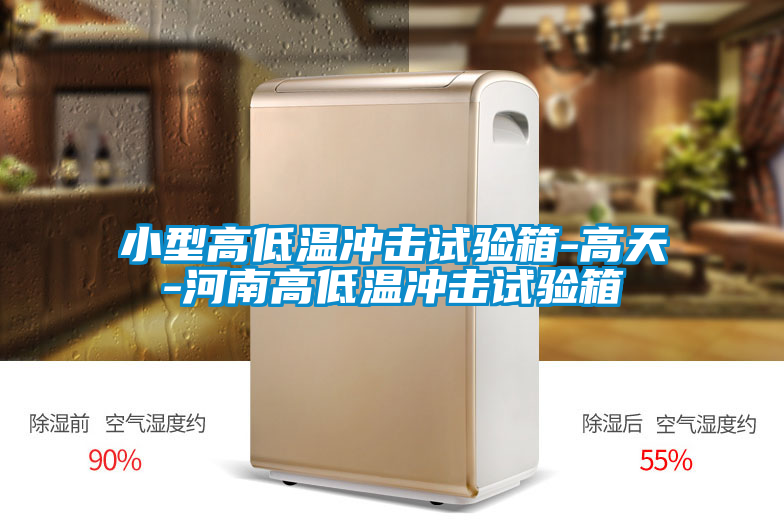 小型高低溫沖擊試驗箱-高天-河南高低溫沖擊試驗箱
