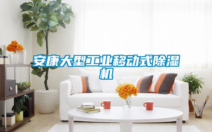 安康大型工業(yè)移動式除濕機(jī)