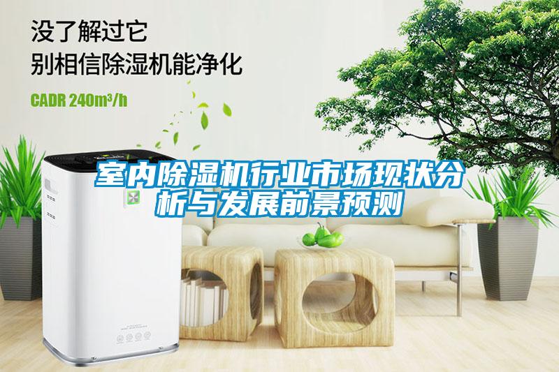 室內除濕機行業市場現狀分析與發展前景預測