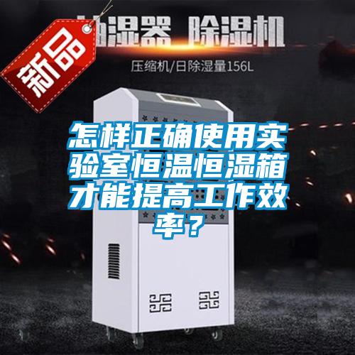 怎樣正確使用實(shí)驗(yàn)室恒溫恒濕箱才能提高工作效率？