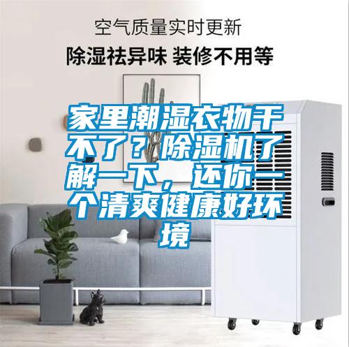 家里潮濕衣物干不了？除濕機了解一下，還你一個清爽健康好環境