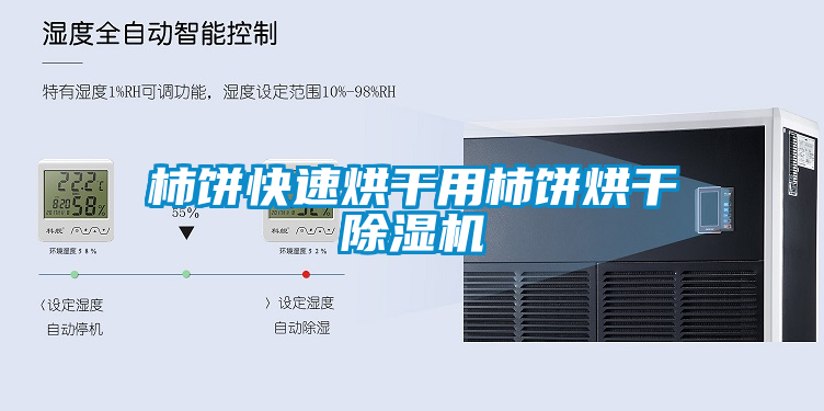 柿餅快速烘干用柿餅烘干除濕機