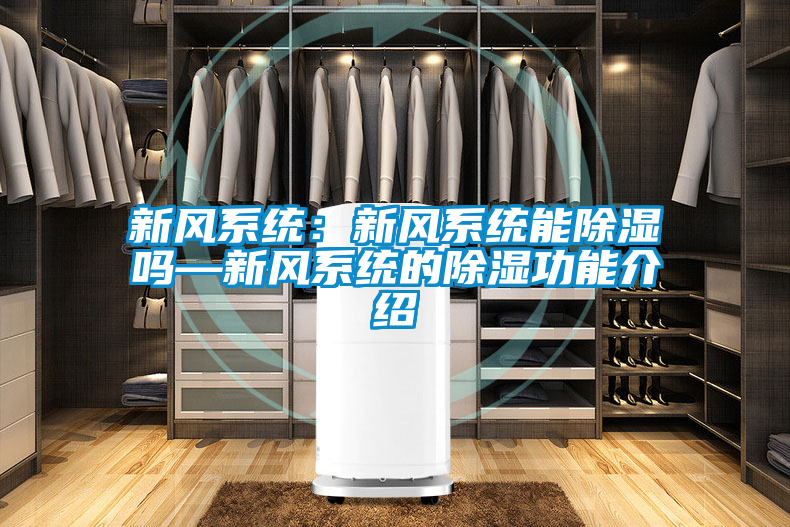新風系統：新風系統能除濕嗎—新風系統的除濕功能介紹