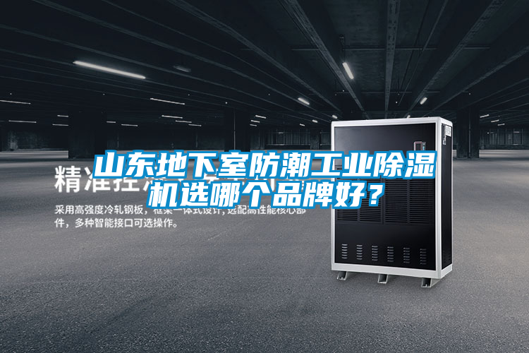 山東地下室防潮工業除濕機選哪個品牌好？