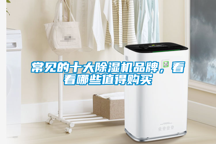 常見的十大除濕機品牌，看看哪些值得購買