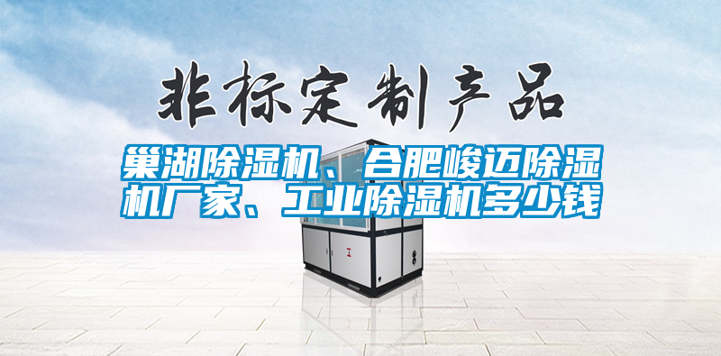 巢湖除濕機(jī)、合肥峻邁除濕機(jī)廠家、工業(yè)除濕機(jī)多少錢