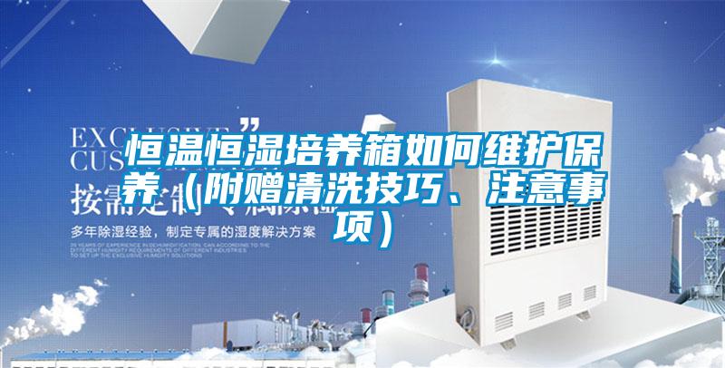 恒溫恒濕培養箱如何維護保養（附贈清洗技巧、注意事項）