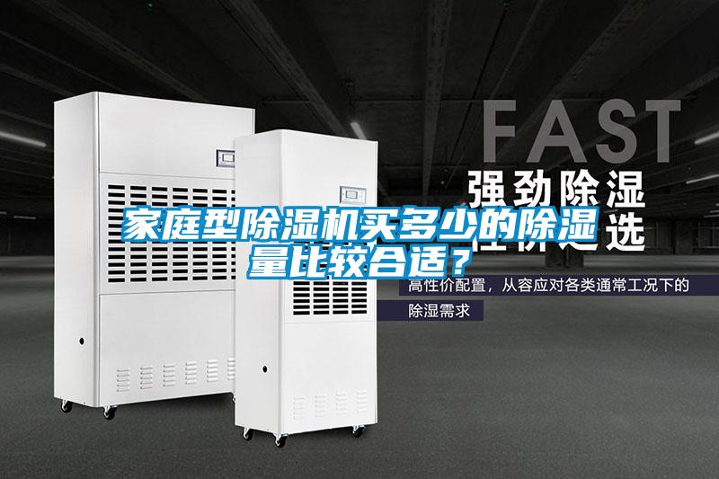 家庭型除濕機買多少的除濕量比較合適？