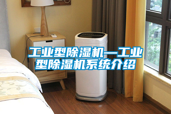工業(yè)型除濕機(jī)—工業(yè)型除濕機(jī)系統(tǒng)介紹