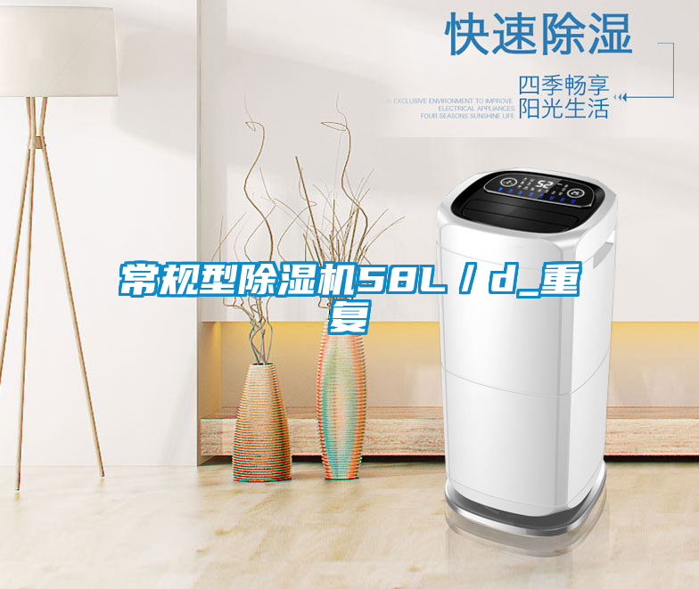常規(guī)型除濕機58L／d_重復