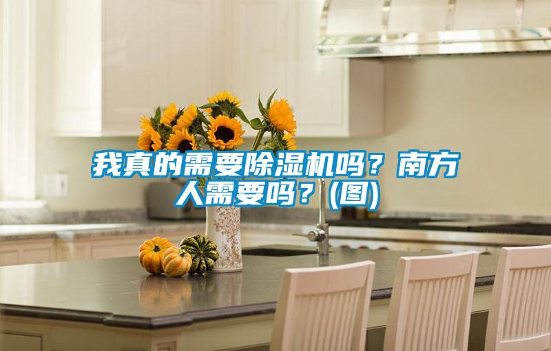 我真的需要除濕機嗎？南方人需要嗎？(圖)