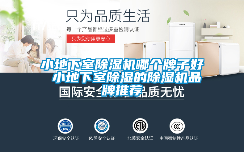 小地下室除濕機哪個牌子好 小地下室除濕的除濕機品牌推薦