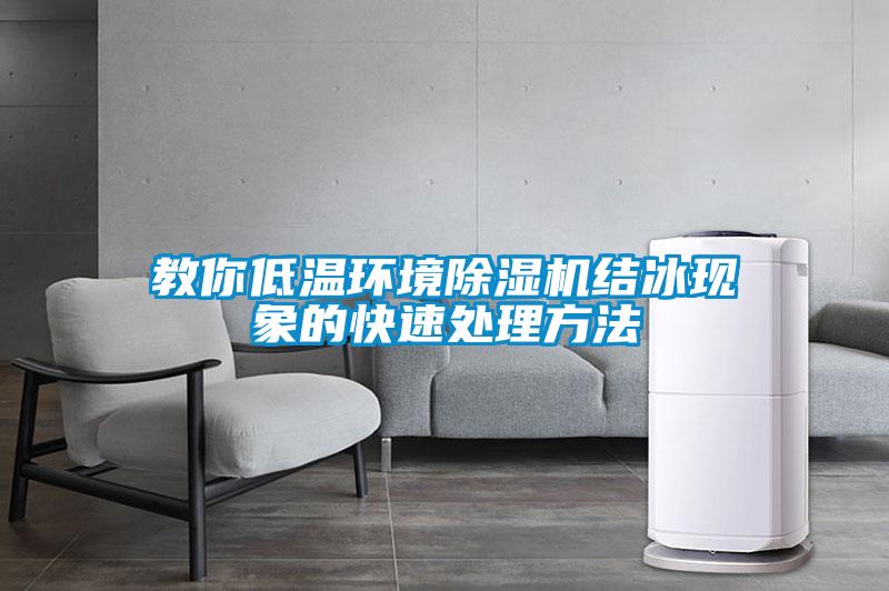 教你低溫環境除濕機結冰現象的快速處理方法