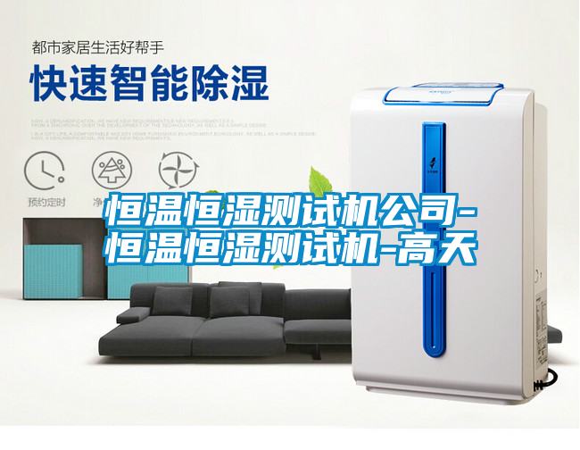 恒溫恒濕測(cè)試機(jī)公司-恒溫恒濕測(cè)試機(jī)-高天
