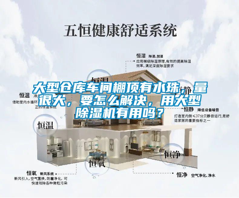 大型倉庫車間棚頂有水珠，量很大，要怎么解決，用大型除濕機(jī)有用嗎？