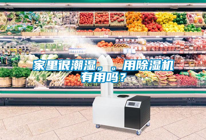 家里很潮濕。。用除濕機有用嗎？