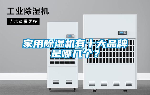家用除濕機有十大品牌是哪幾個？