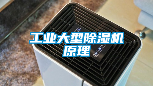 工業(yè)大型除濕機(jī)原理