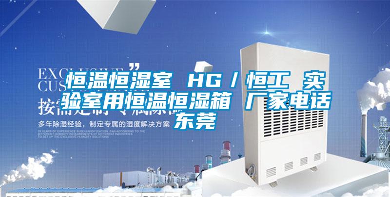 恒溫恒濕室 HG／恒工 實驗室用恒溫恒濕箱 廠家電話東莞