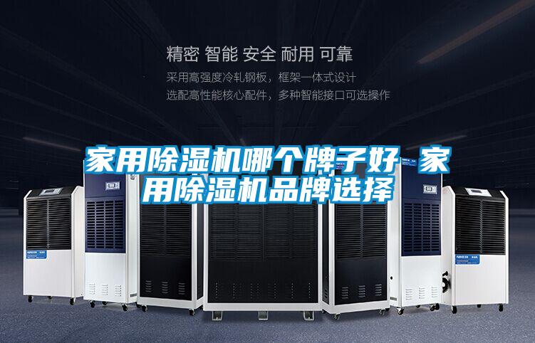 家用除濕機哪個牌子好 家用除濕機品牌選擇