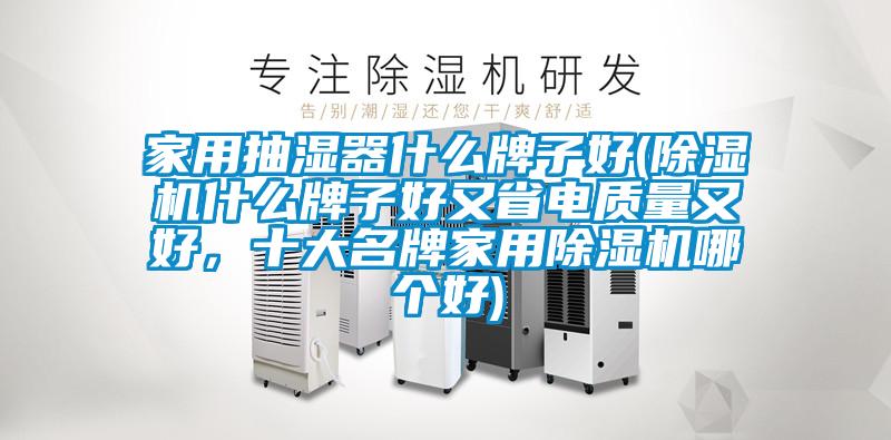 家用抽濕器什么牌子好(除濕機什么牌子好又省電質量又好，十大名牌家用除濕機哪個好)