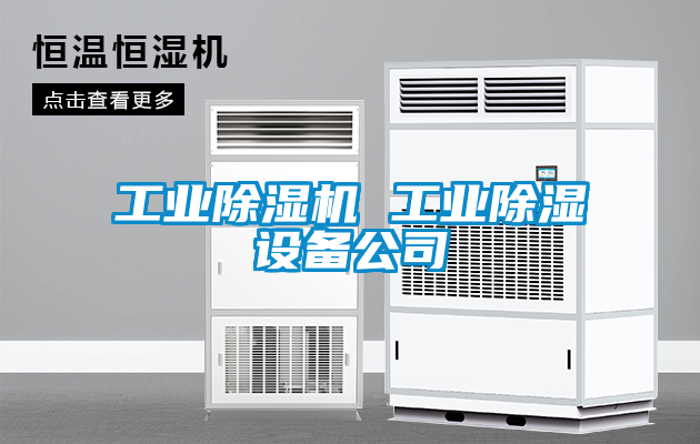 工業除濕機 工業除濕設備公司