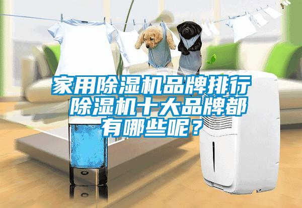 家用除濕機品牌排行 除濕機十大品牌都有哪些呢？