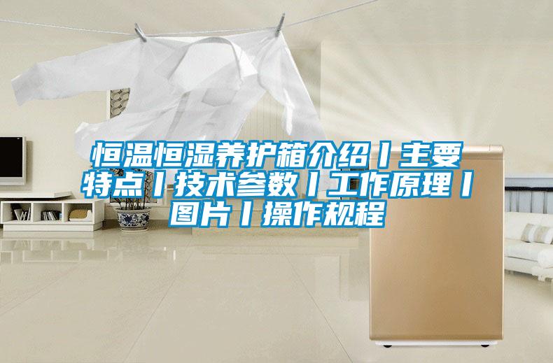 恒溫恒濕養護箱介紹丨主要特點丨技術參數丨工作原理丨圖片丨操作規程