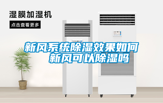 新風系統除濕效果如何  新風可以除濕嗎