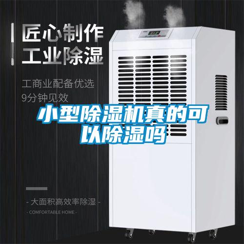 小型除濕機真的可以除濕嗎