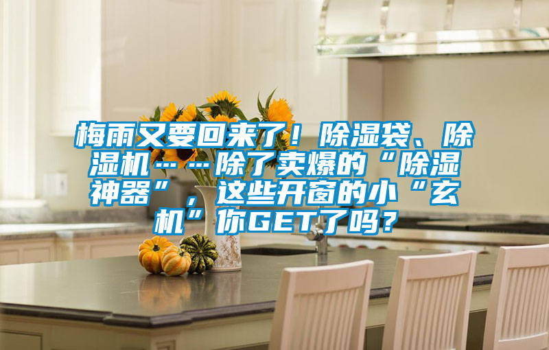 梅雨又要回來(lái)了！除濕袋、除濕機(jī)……除了賣(mài)爆的“除濕神器”，這些開(kāi)窗的小“玄機(jī)”你GET了嗎？