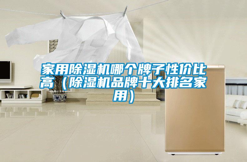 家用除濕機(jī)哪個(gè)牌子性價(jià)比高（除濕機(jī)品牌十大排名家用）