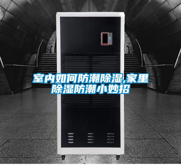 室內(nèi)如何防潮除濕,家里除濕防潮小妙招