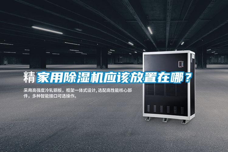 家用除濕機應該放置在哪？