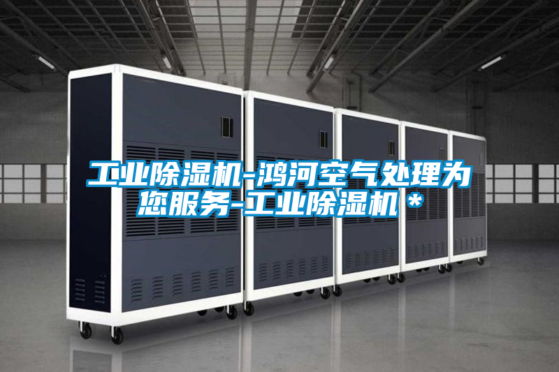 工業除濕機-鴻河空氣處理為您服務-工業除濕機＊