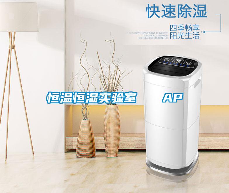 恒溫恒濕實驗室   AP