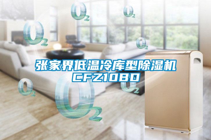 張家界低溫冷庫(kù)型除濕機(jī)CFZ10BD
