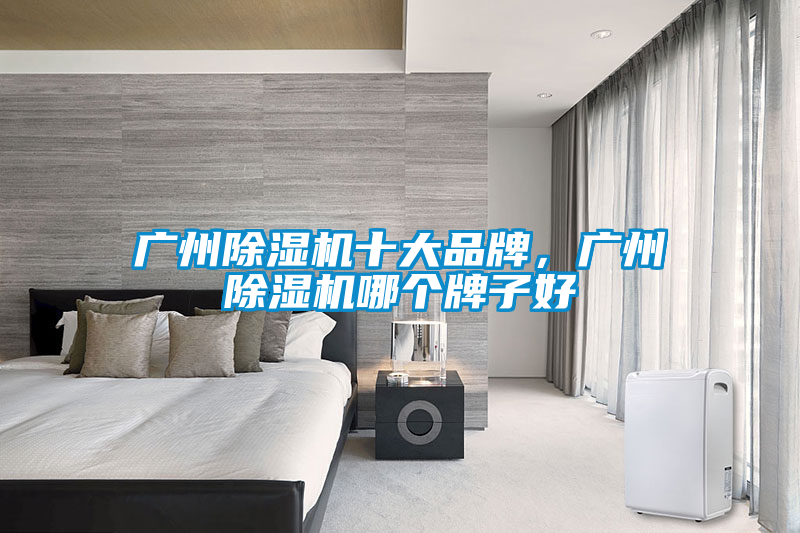 廣州除濕機(jī)十大品牌，廣州除濕機(jī)哪個(gè)牌子好