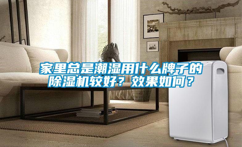 家里總是潮濕用什么牌子的除濕機較好？效果如何？