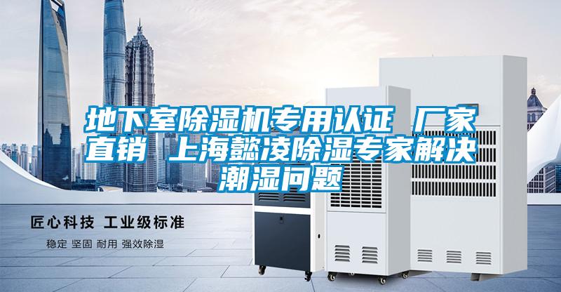 地下室除濕機專用認證 廠家直銷 上海懿凌除濕專家解決潮濕問題