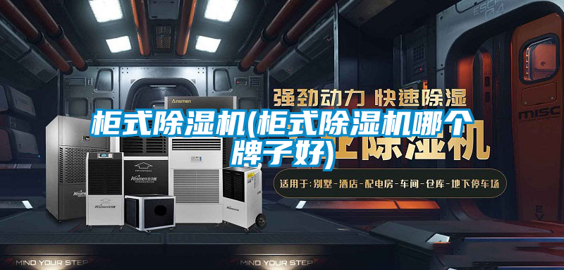 柜式除濕機(柜式除濕機哪個牌子好)
