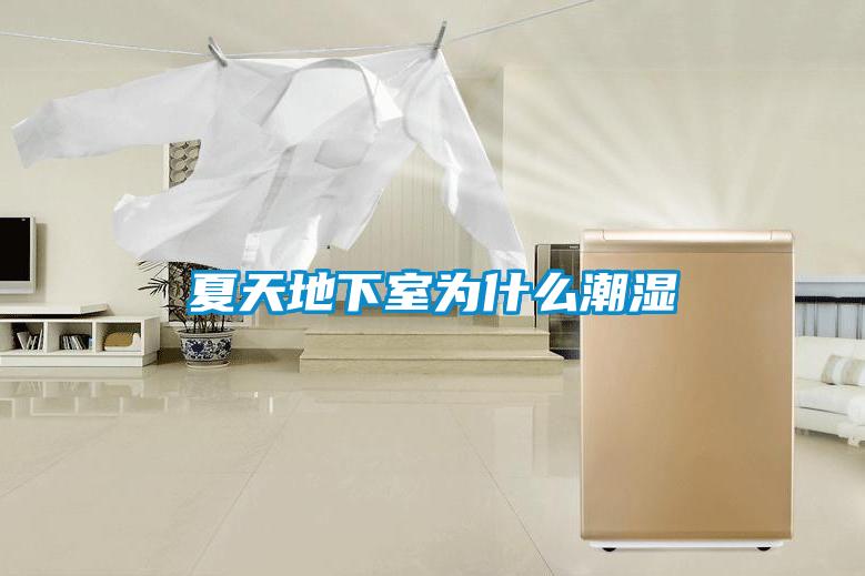 夏天地下室為什么潮濕