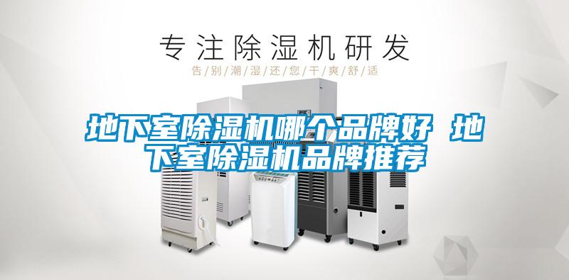 地下室除濕機(jī)哪個(gè)品牌好 地下室除濕機(jī)品牌推薦