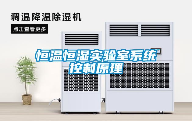 恒溫恒濕實驗室系統控制原理