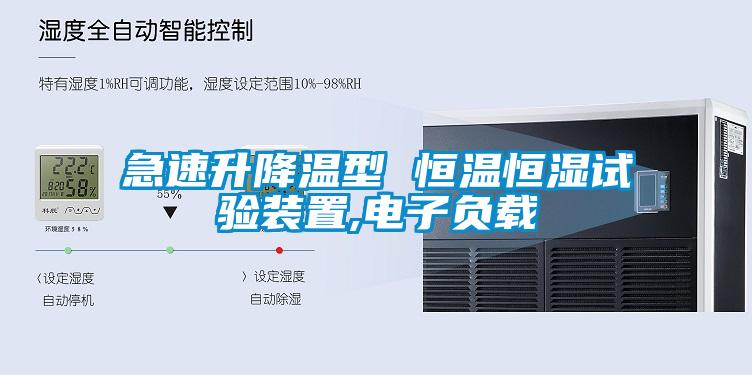 急速升降溫型 恒溫恒濕試驗裝置,電子負載