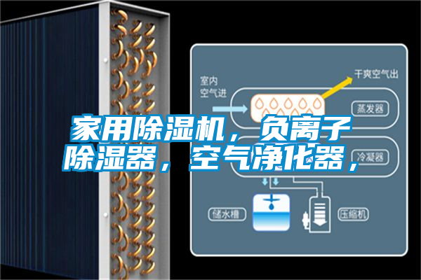 家用除濕機，負離子除濕器，空氣凈化器，