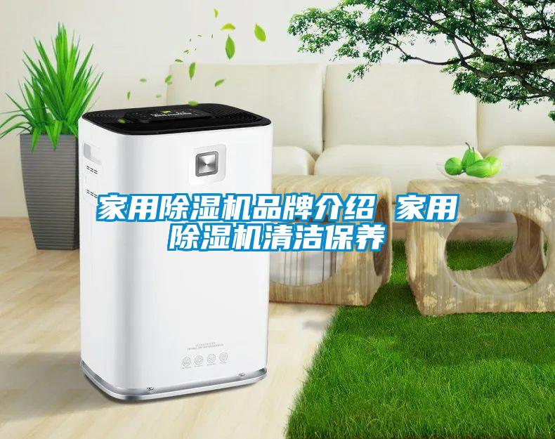 家用除濕機品牌介紹 家用除濕機清潔保養